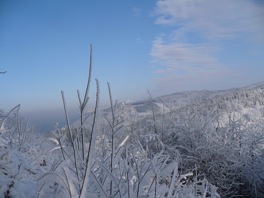 img00030.jpg