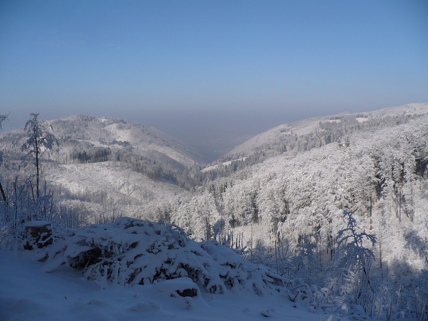 img00033.jpg