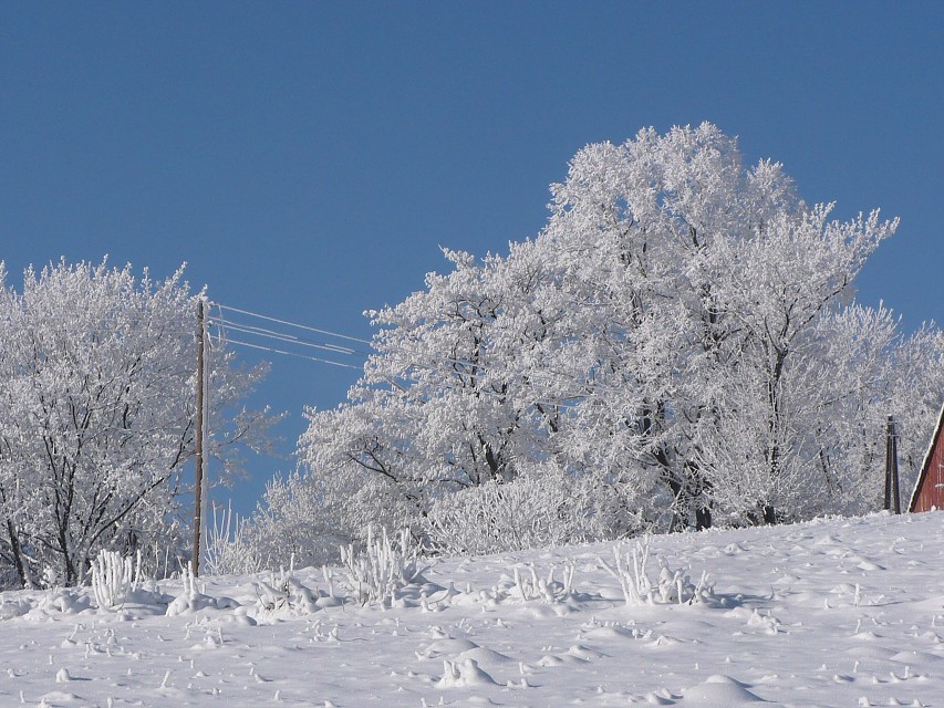 img00037.jpg