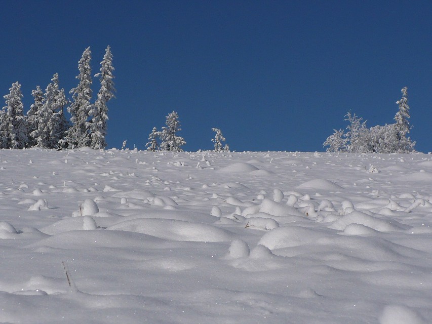 img00040.jpg