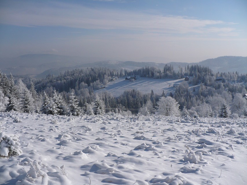 img00041.jpg