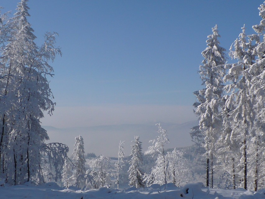 img00042.jpg