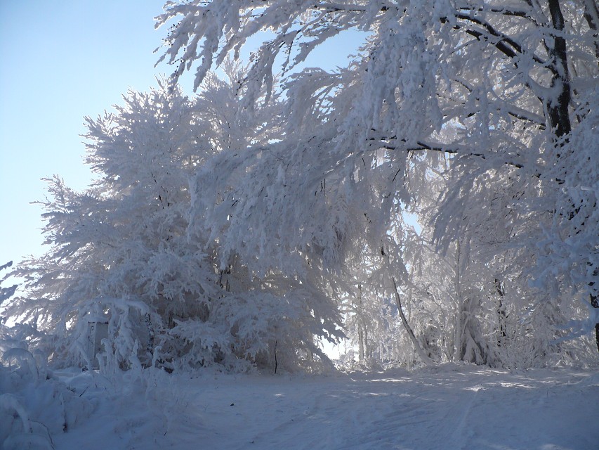img00045.jpg