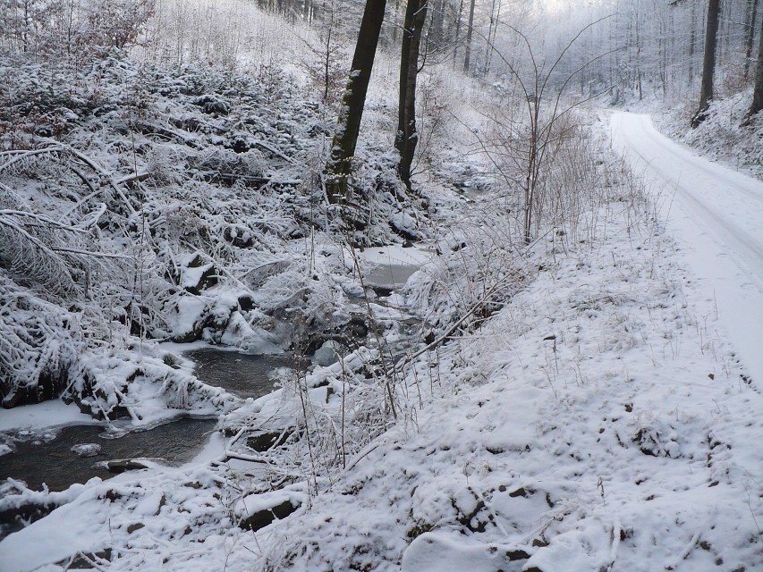 img00053.jpg