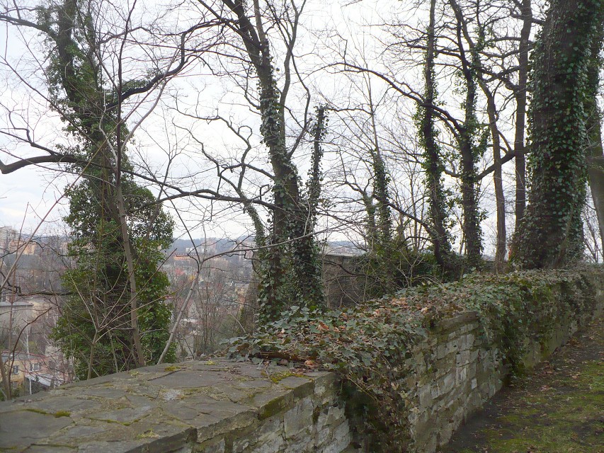 img00013.jpg