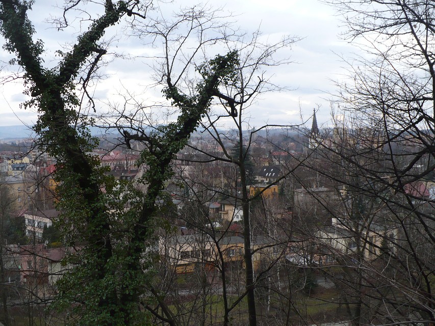 img00016.jpg