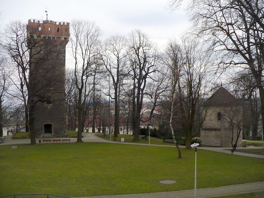 img00020.jpg