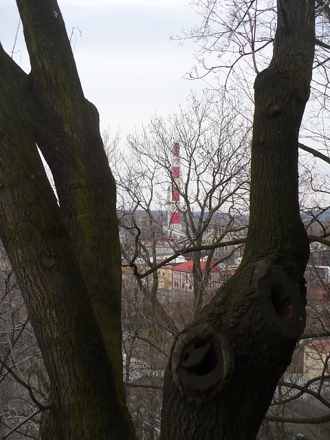 img00021.jpg