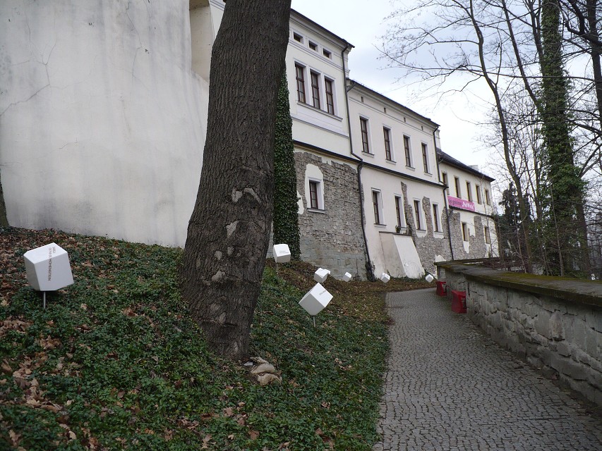 img00024.jpg