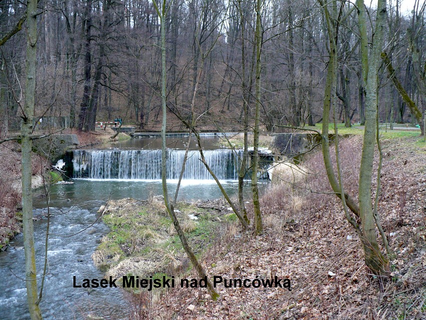 img00025.jpg