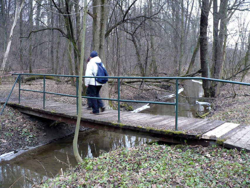 img00030.jpg
