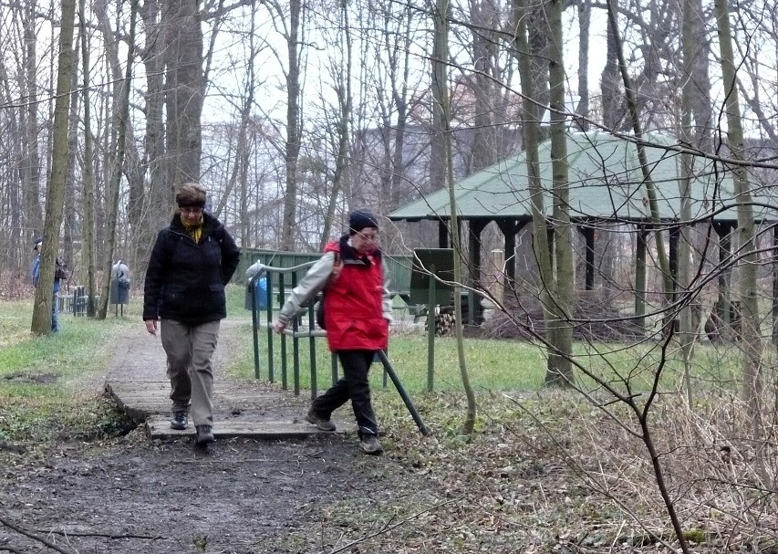 img00031.jpg