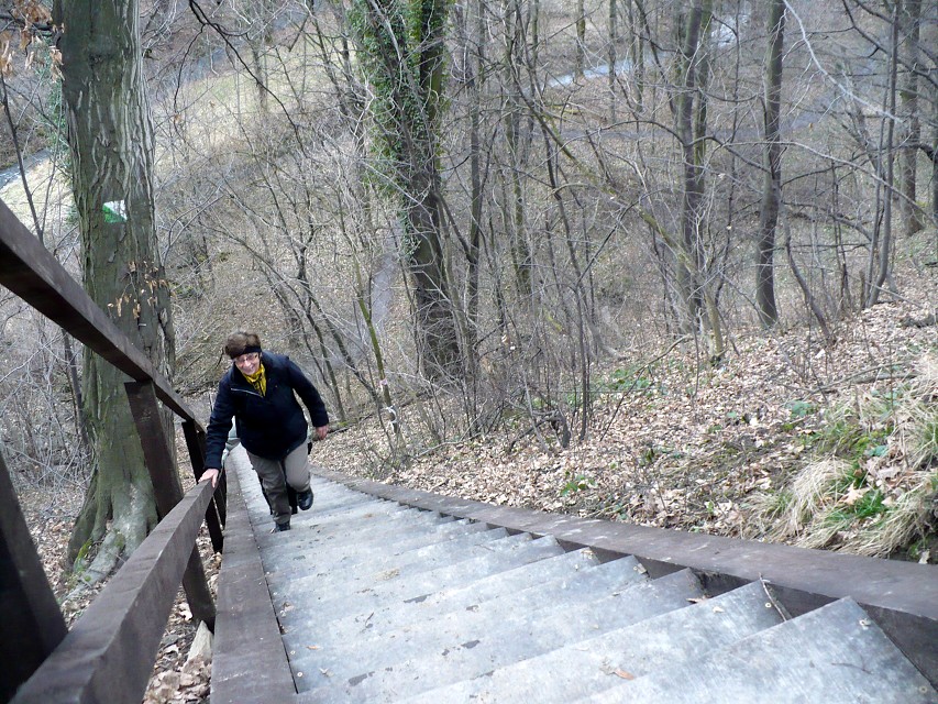 img00035.jpg