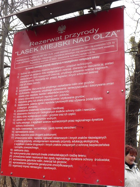 img00036.jpg
