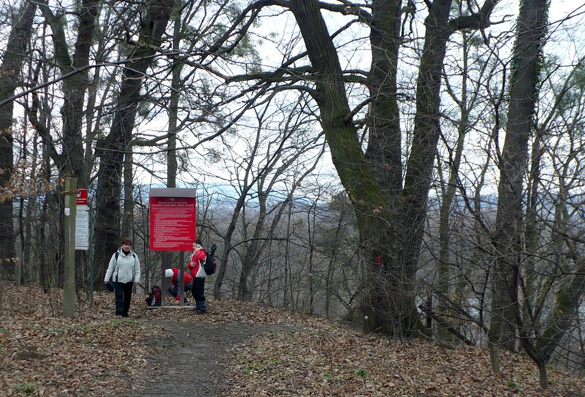 img00037.jpg