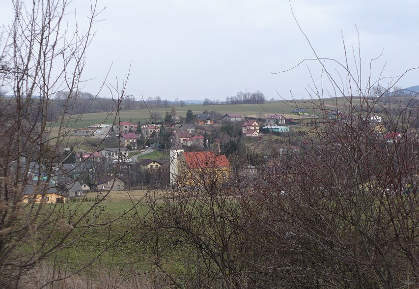 img00049.jpg