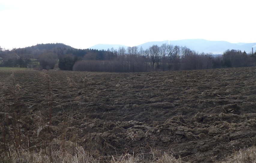 img00051.jpg
