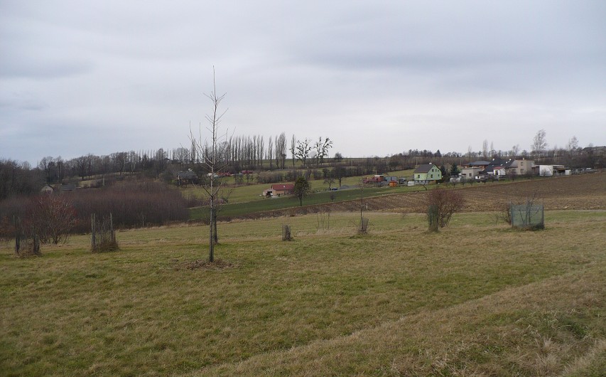 img00053.jpg