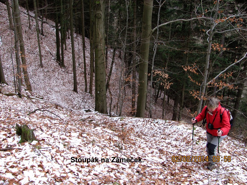 img00010.jpg