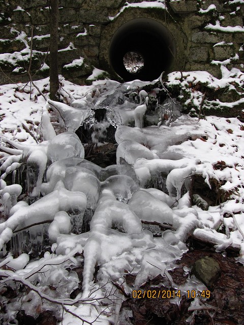 img00015.jpg