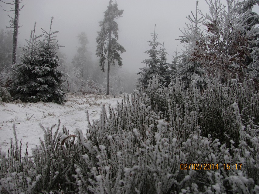 img00019.jpg