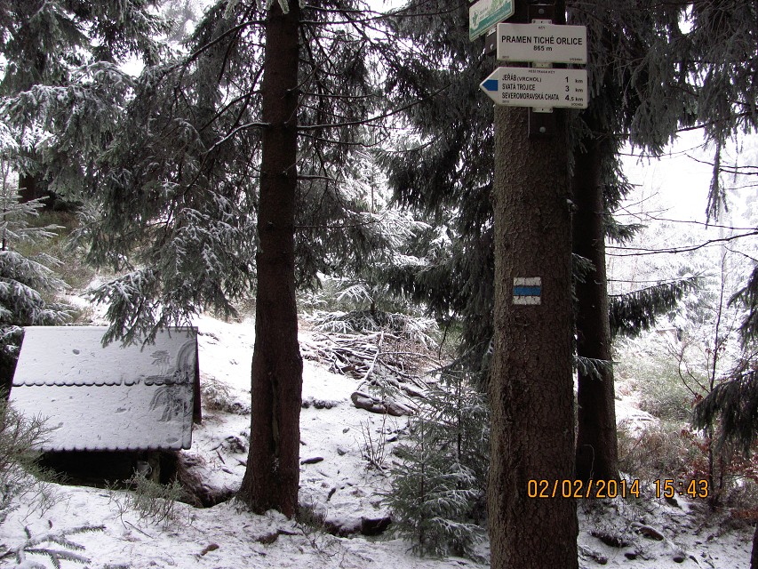 img00021.jpg