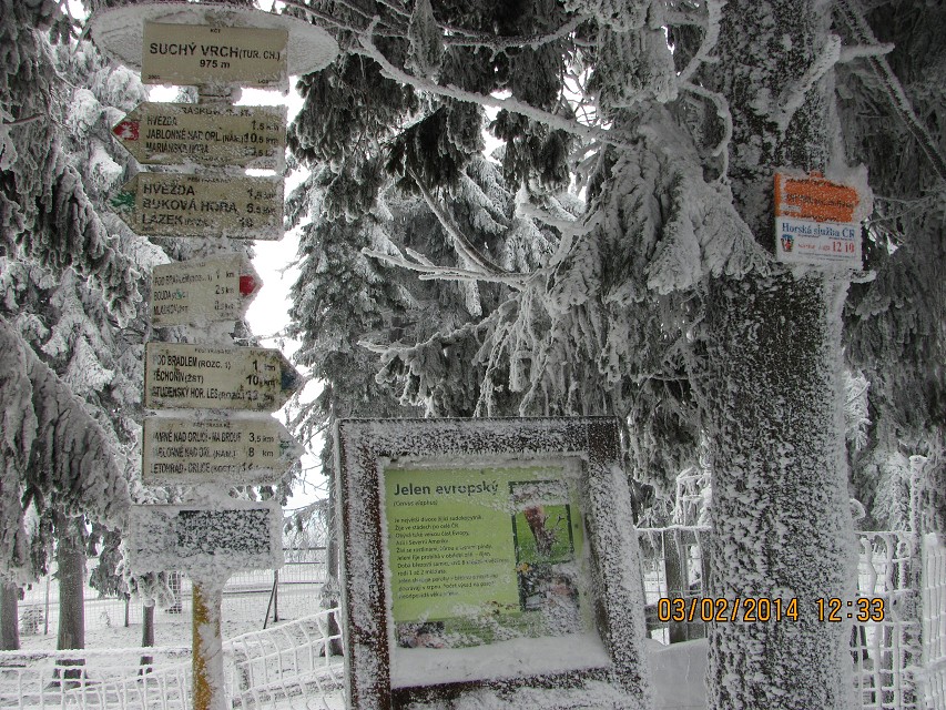 img00030.jpg