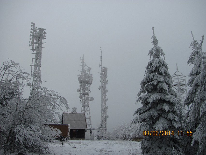 img00031.jpg