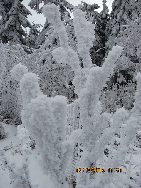 img00032.jpg
