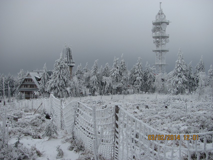 img00033.jpg