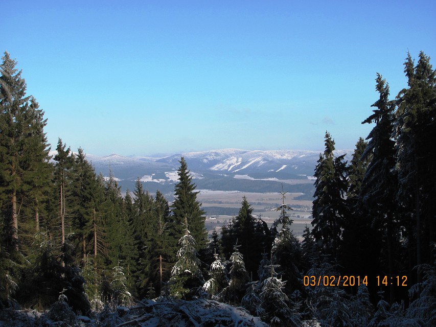 img00042.jpg