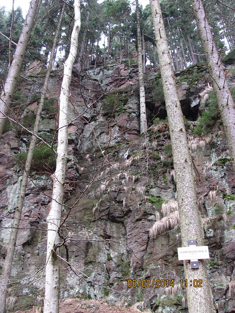 img00084.jpg