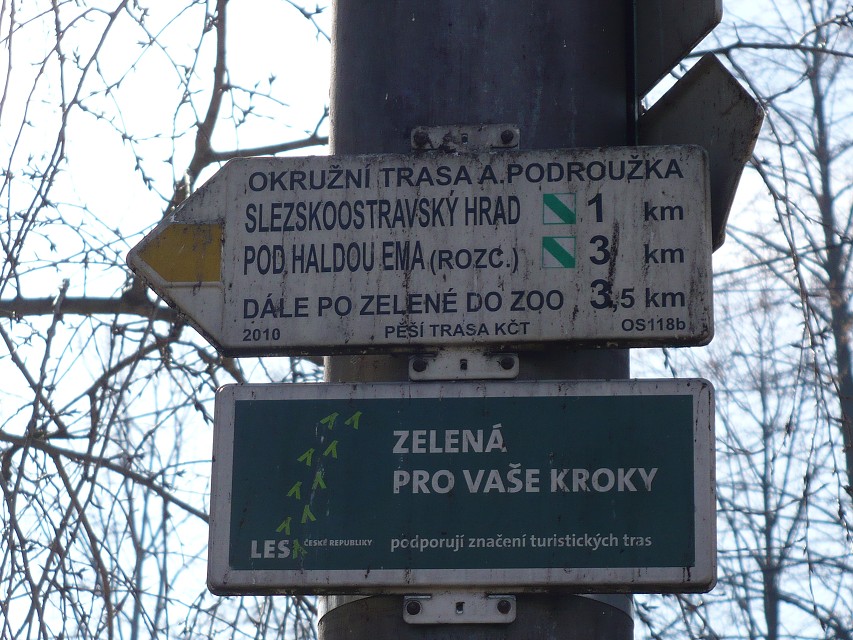 img00008.jpg