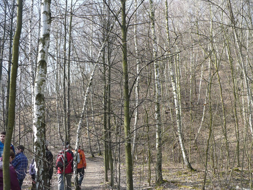 img00014.jpg