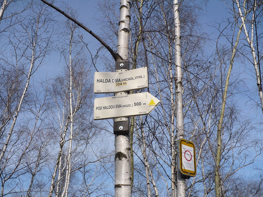 img00017.jpg