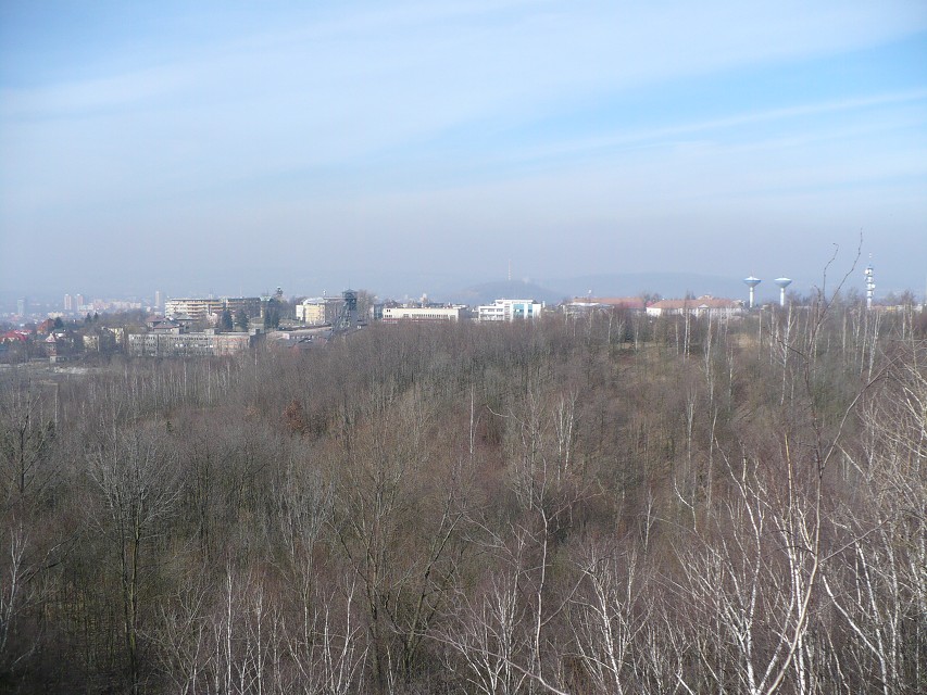 img00024.jpg