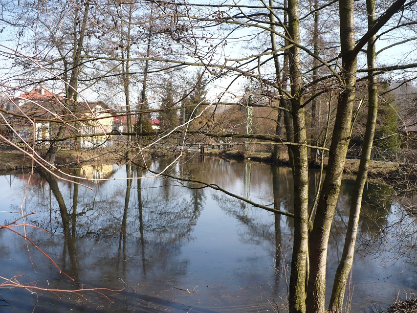 img00031.jpg