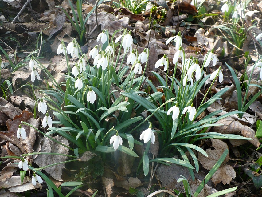 img00024.jpg