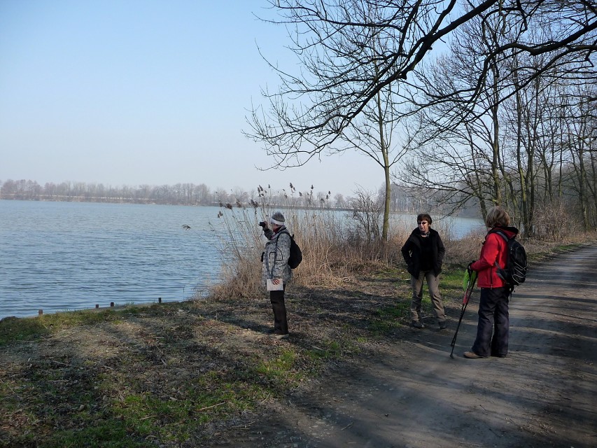img00026.jpg
