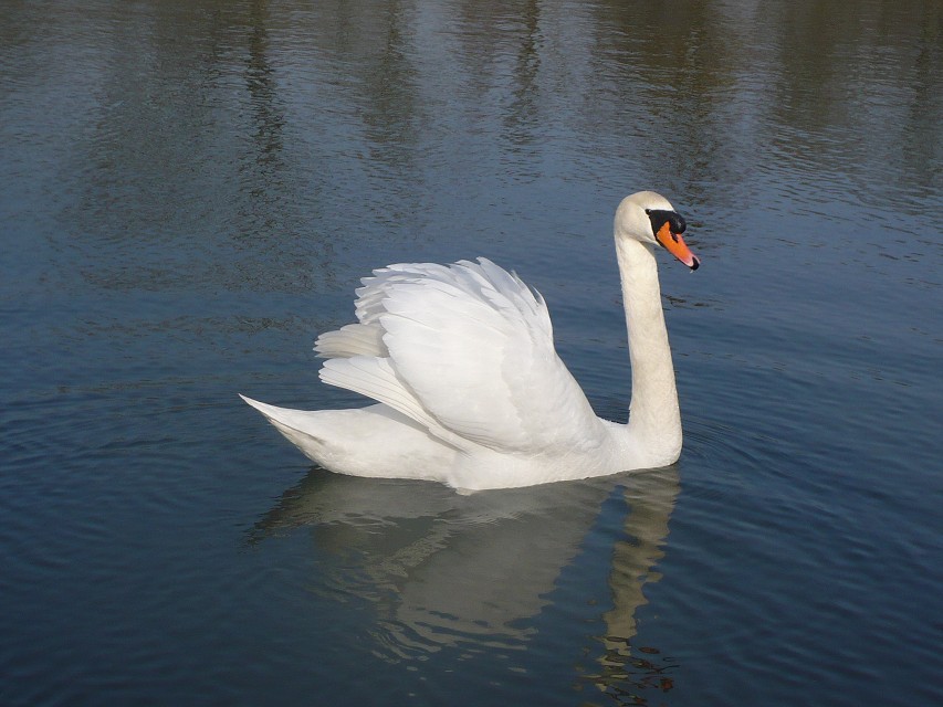 img00030.jpg