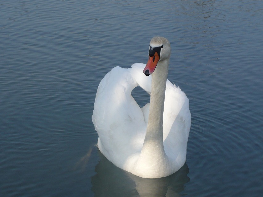 img00031.jpg