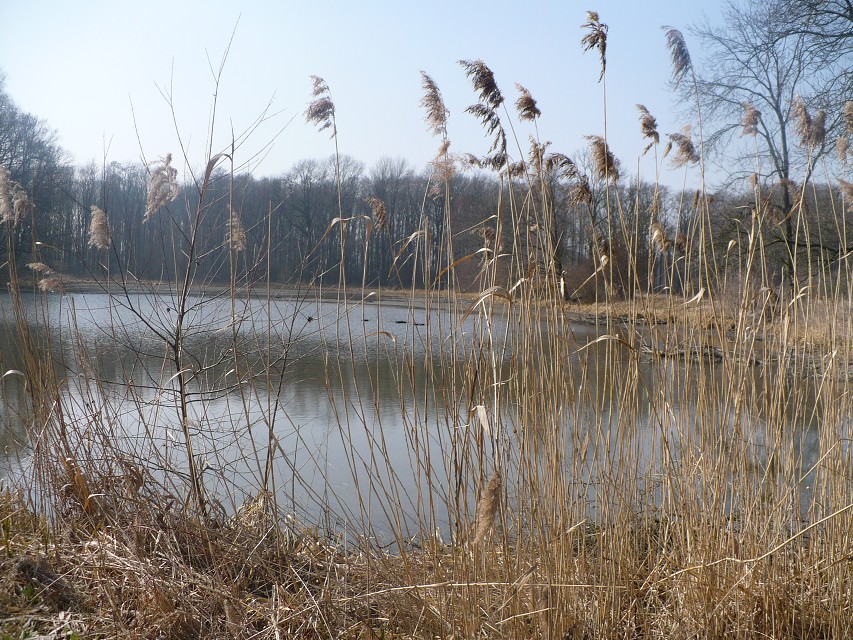 img00041.jpg