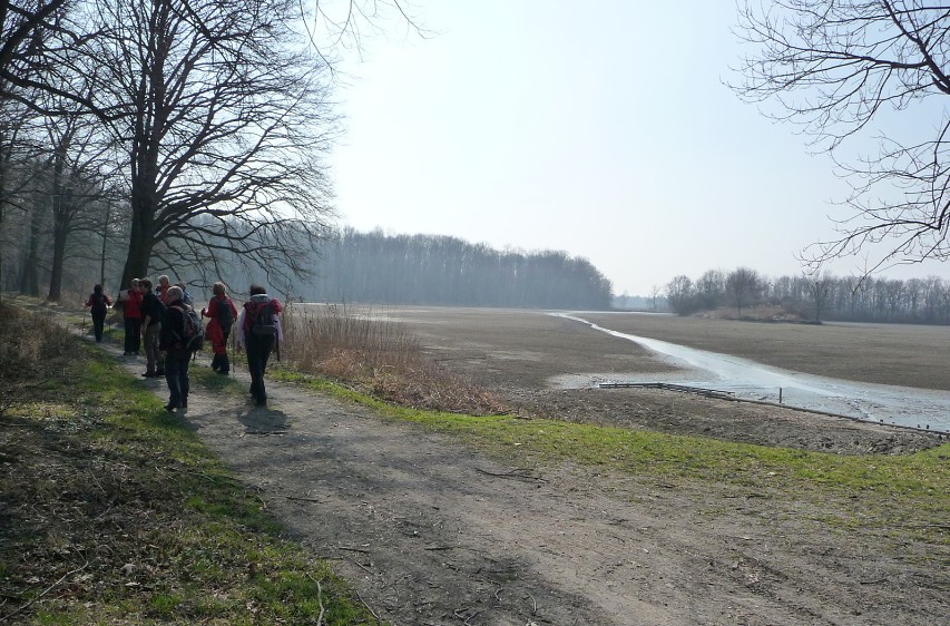 img00044.jpg