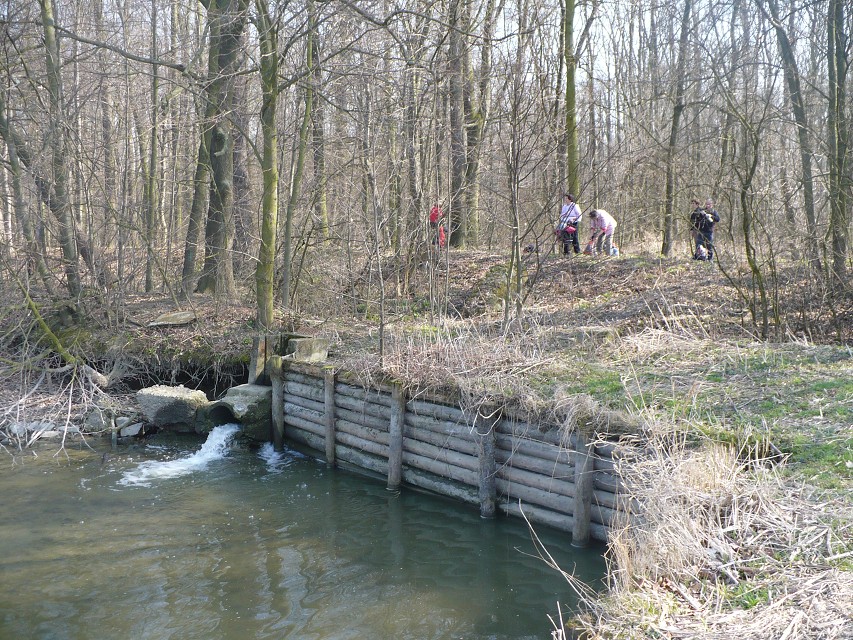 img00046.jpg