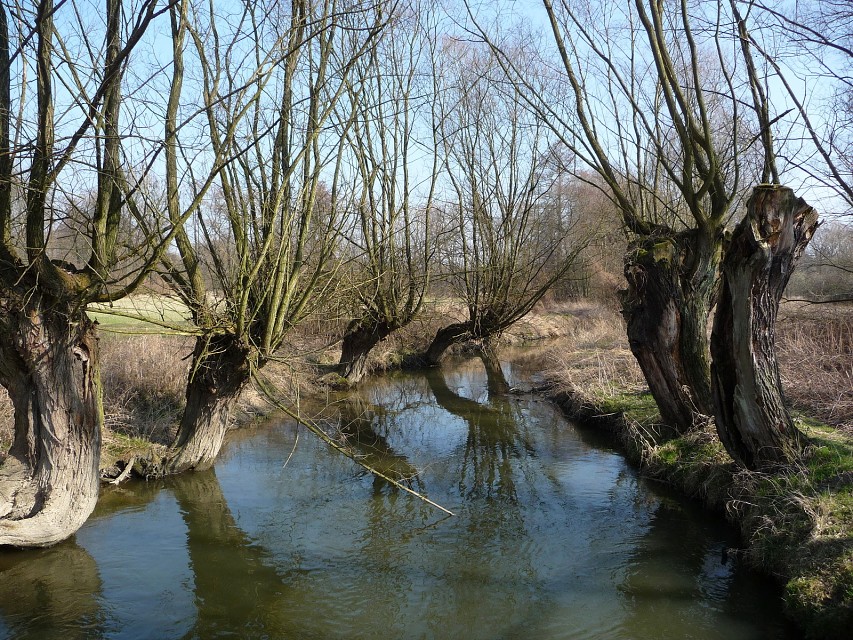 img00050.jpg