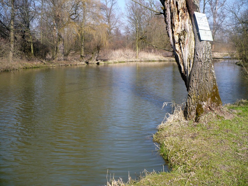 img00053.jpg