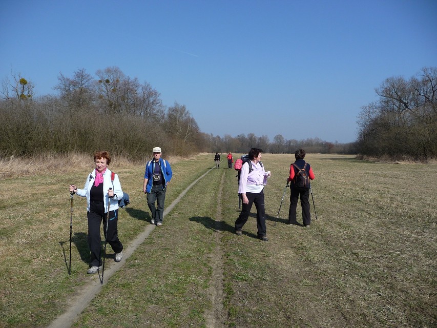 img00054.jpg