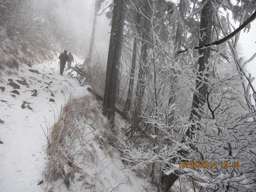 img00009.jpg
