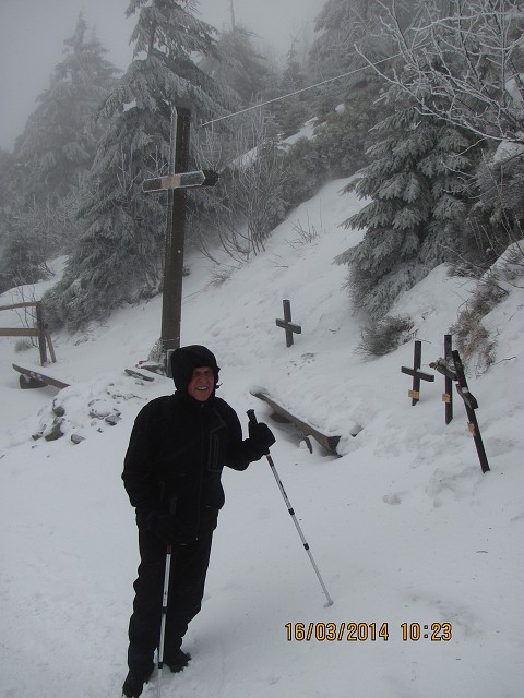 img00010.jpg