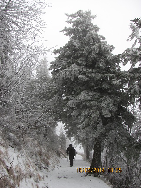 img00011.jpg